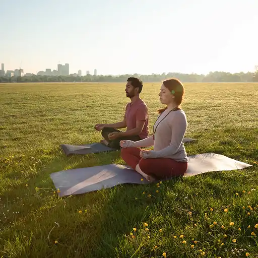 Zwei Frauen machen Yoga auf einer Wiese