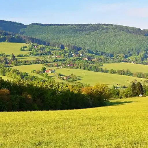 Landschaft im Grünen